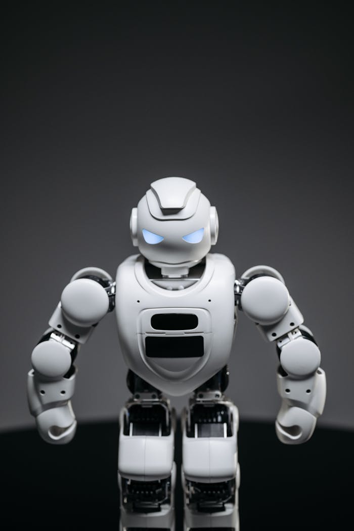 services-01 High-tech humanoid robot displaying futuristic design and innovation.